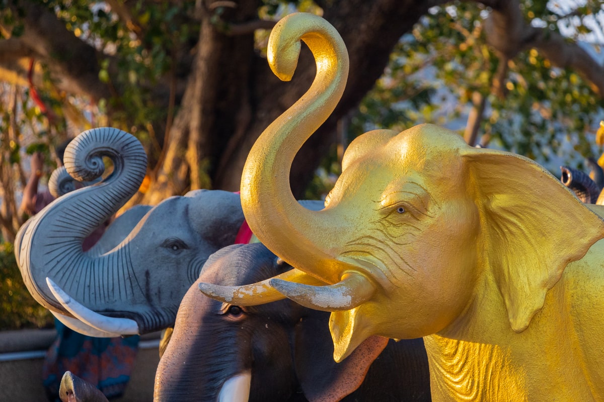 statue d'éléphant du temple du cape promthep