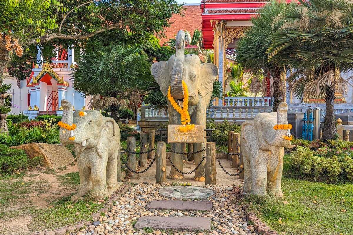 statues d'éléphants au wat chalong