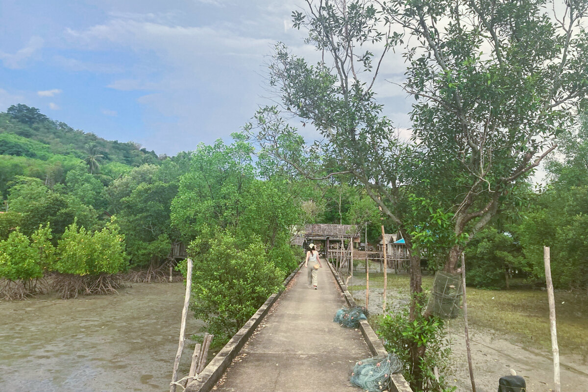 Ponton vers la mangrove de Koh Yao Noi