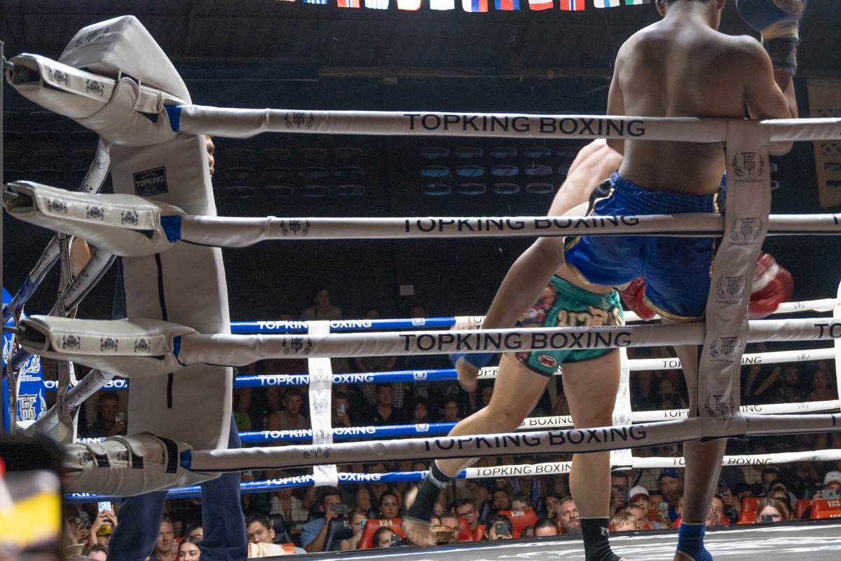 Actions de boxe thaï